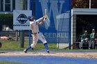 Baseball vs Babson  Wheaton College Baseball vs Babson during Championship game of the NEWMAC Championship hosted by Wheaton. - (Photo by Keith Nordstrom) : Wheaton, baseball, NEWMAC